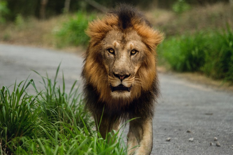 On The Hunt I GKR London Property Recruitment 